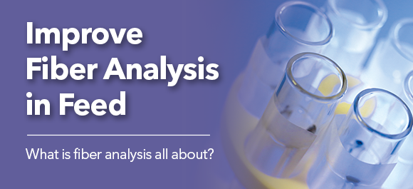 The Essential Role of Fiber Analysis in Feed Formulation | A Complete Guide